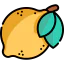 Citrus іконка 64x64