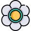 Flower icon 64x64