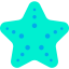 Starfish 상 64x64