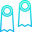 Flippers Ikona 64x64