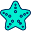 Starfish icon 64x64
