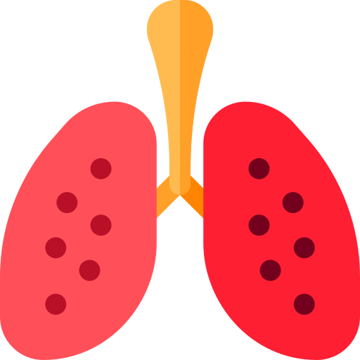 Lung icon
