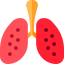 Lung icon 64x64