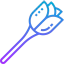 Candy icon 64x64