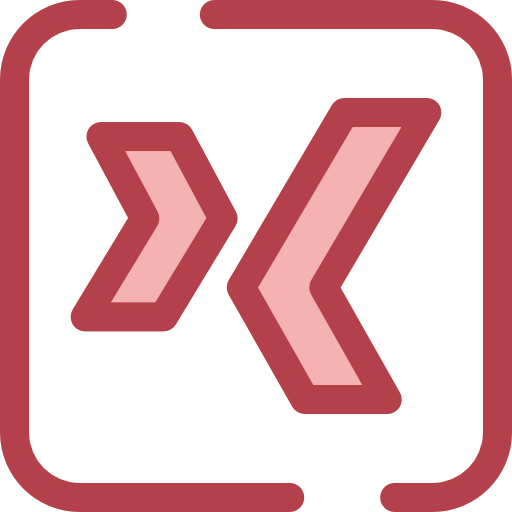 Xing icon