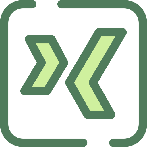 Xing icon