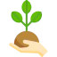 Sprout icon 64x64