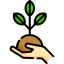 Sprout icon 64x64