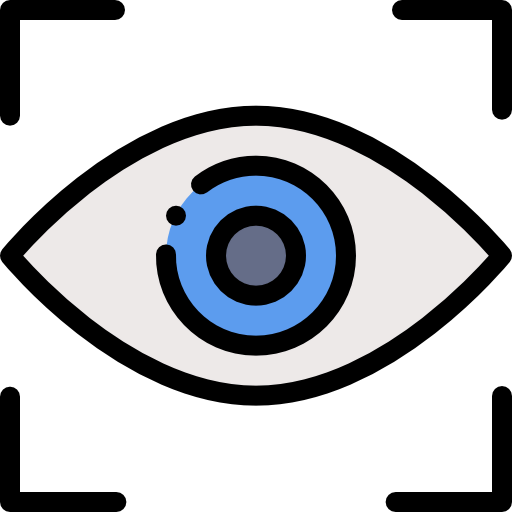 Vision icon