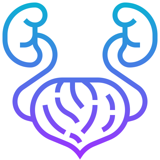 Kidney icon