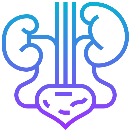Kidney icon