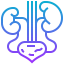 Kidney Symbol 64x64