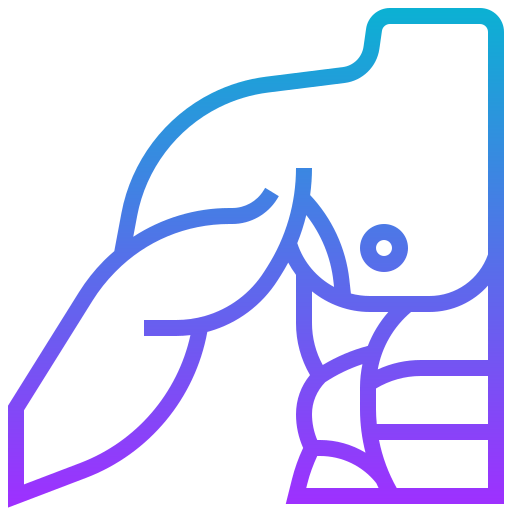 Muscle icon