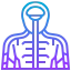 Human body Ikona 64x64