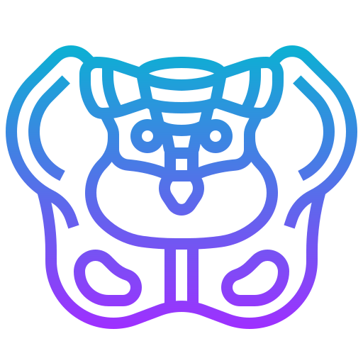Pelvis icon