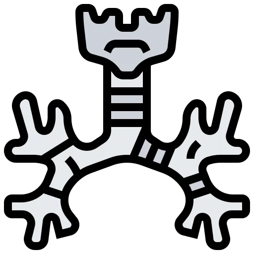 Bronchus icon