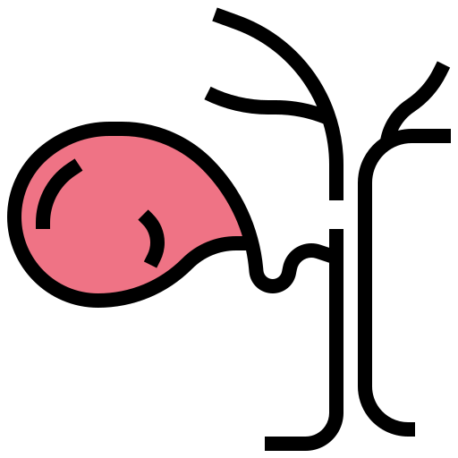 Gallbladder icon