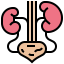 Kidney Symbol 64x64