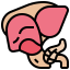 Liver organ Symbol 64x64