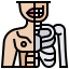 Human body Ikona 64x64