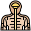 Human body Ikona 64x64