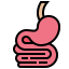 Stomach 상 64x64