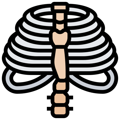 Thorax icon
