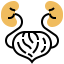Kidney Symbol 64x64
