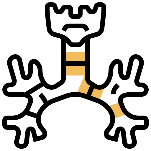Bronchus icon