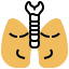 Lung icon 64x64