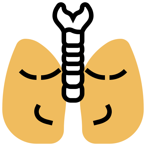 Lung icon
