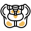 Pelvis icon 64x64