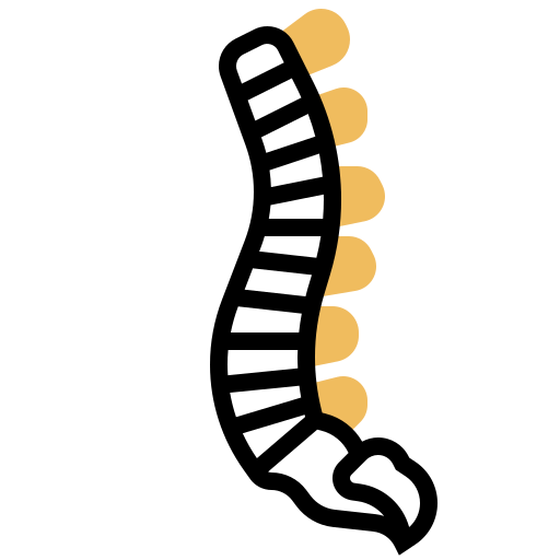 Spine icon
