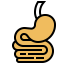 Stomach 상 64x64