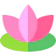 Lotus icon 64x64