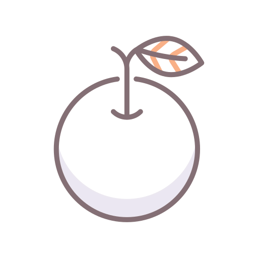 Orange icon
