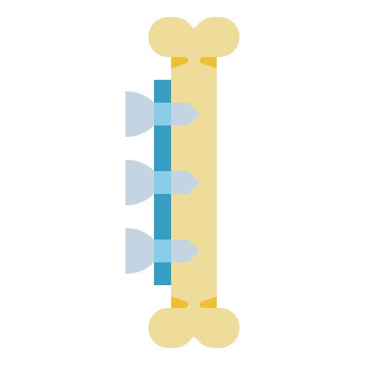 Bone icon