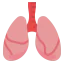 Lungs Symbol 64x64