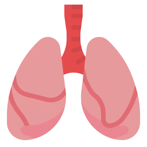 Lungs icon