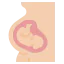 Pregnant Symbol 64x64