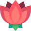 Lotus flower icon 64x64