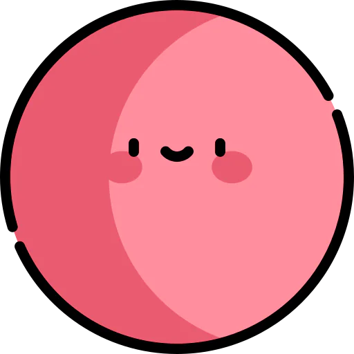 Record icon