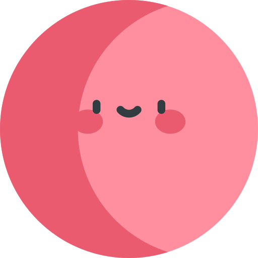 Record icon
