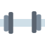 Weights アイコン 64x64