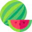 Watermelon icon 64x64