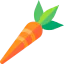 Carrot icon 64x64