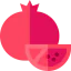 Pomegranate icon 64x64