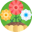 Flower icon 64x64