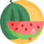Watermelon icon 64x64