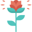 Flower icon 64x64